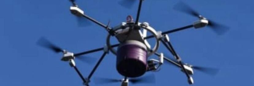 IMG-20250301-WA0095-828x280