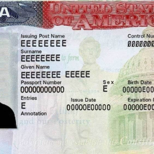 1001146828