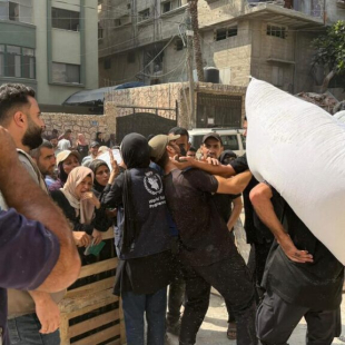 Gaza humanitarian aid