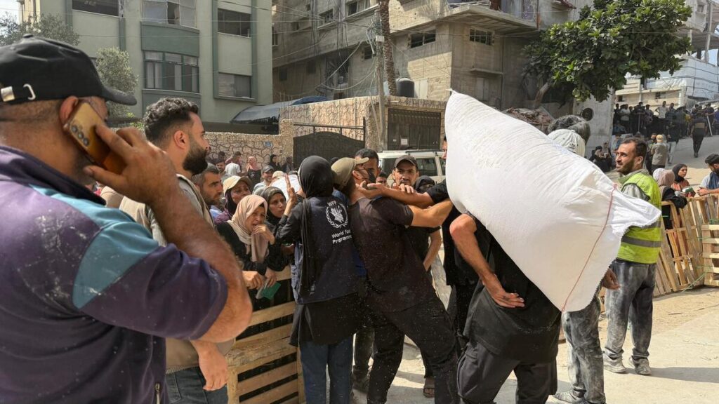 Gaza humanitarian aid