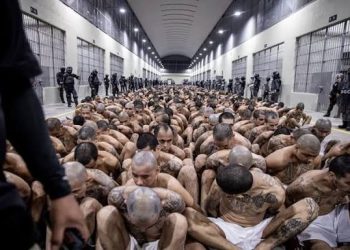 El Salvador : un membre de la MS-13 condamné à 1 335 ans de prison, une peine historique