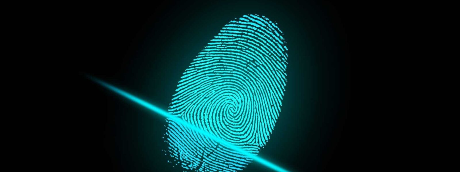 finger-2081169-e1629981733808-1600x600-c-default