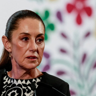 IMG-20260127-WA00981